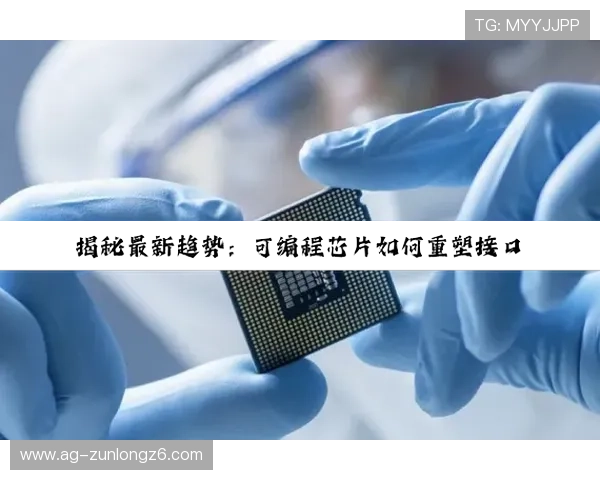 Z6尊龙旗舰厅登录线路常见问题及解决方案，确保玩家顺畅游戏体验