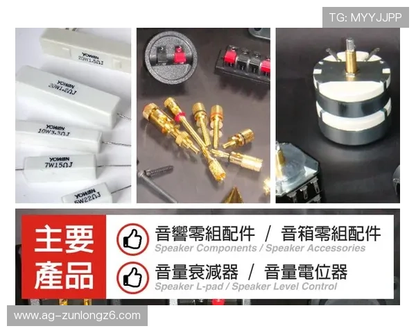 尊龙官网中国官网入口全面介绍及常见问题解决方案